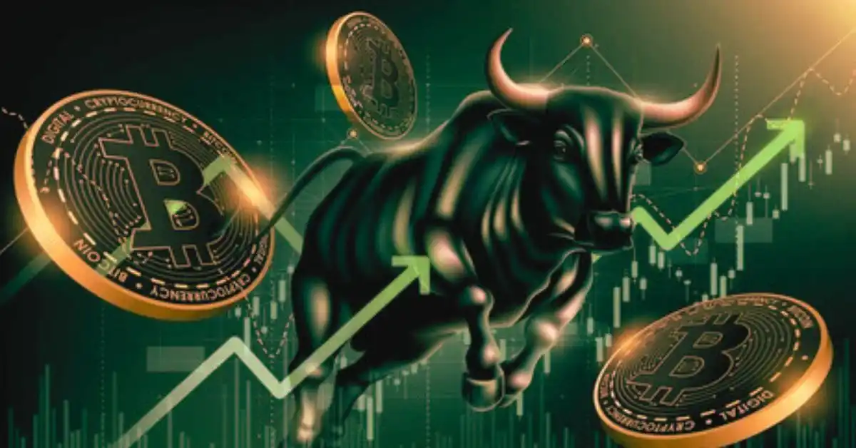 Big Bull Crypto A Unique Story of Momentum in Digital Markets